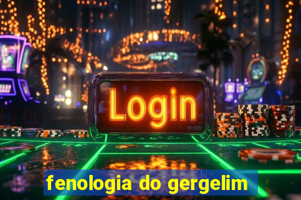 fenologia do gergelim